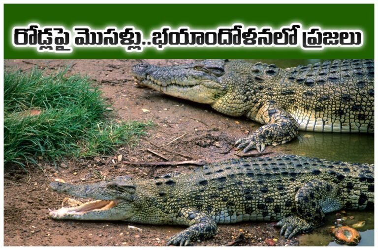 WhatsApp Image 2025-11-13 at 15.20.24_6993a6a8