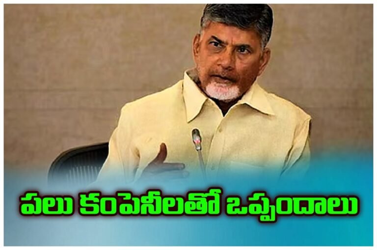 WhatsApp Image 2025-11-13 at 15.57.16_b9f1fdc6