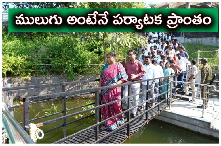 WhatsApp Image 2025-11-13 at 17.38.57_4a9ba953