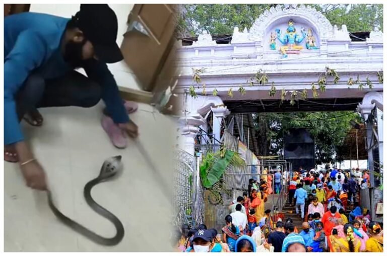 WhatsApp Image 2025-11-21 at 11.52.42