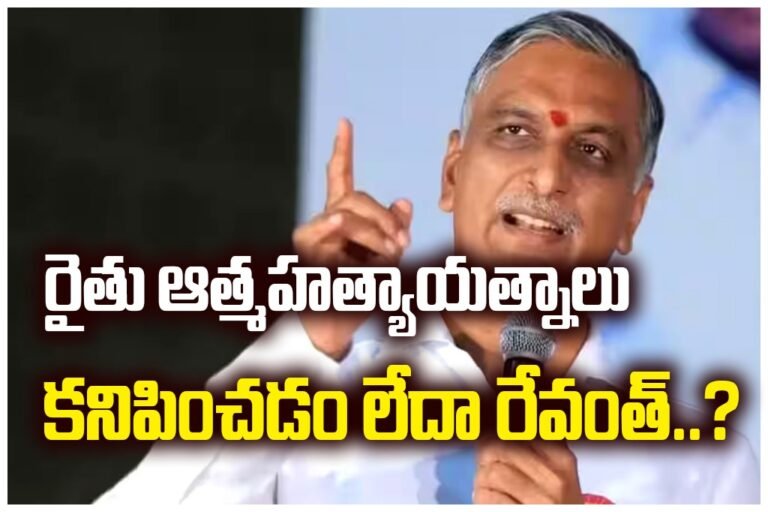 WhatsApp Image 2025-11-21 at 15.33.58