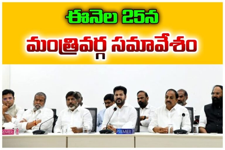 WhatsApp Image 2025-11-21 at 15.39.18