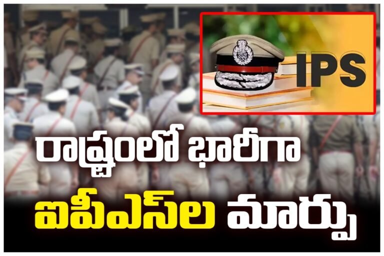 WhatsApp Image 2025-11-21 at 15.57.48