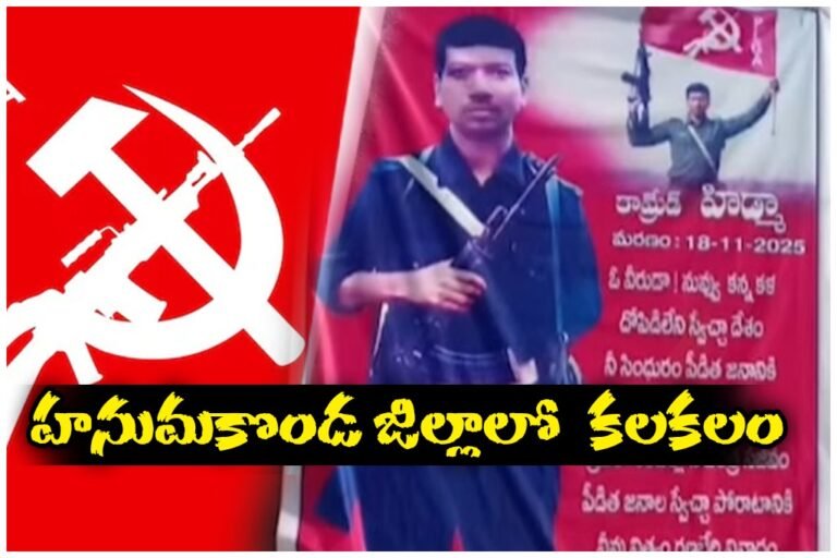 WhatsApp Image 2025-11-22 at 14.46.11