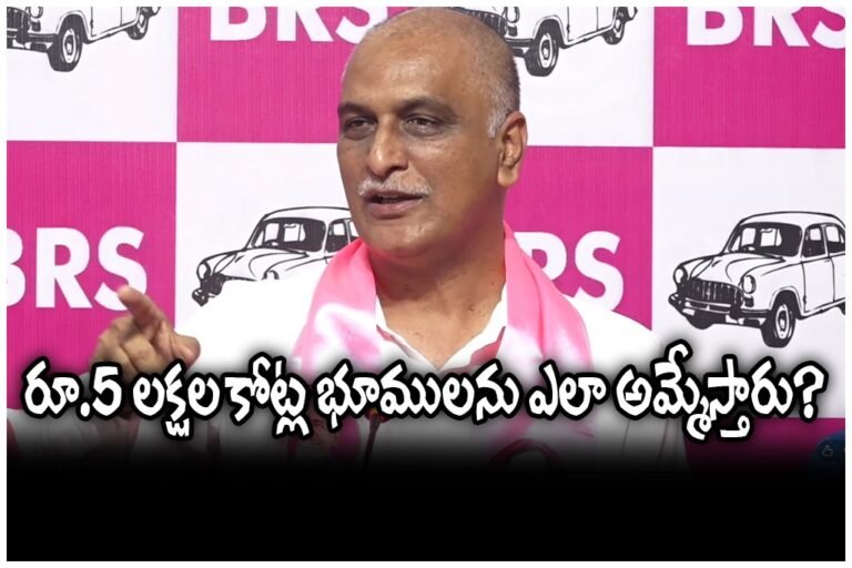 WhatsApp Image 2025-11-22 at 17.47.51