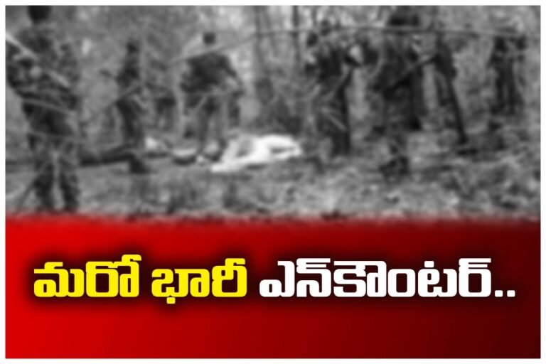 WhatsApp Image 2025-12-03 at 6.00.39 PM