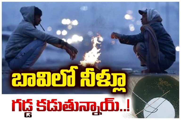 WhatsApp Image 2025-12-14 at 3.58.16 PM