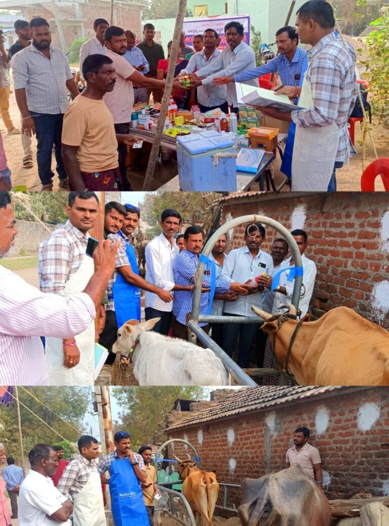 06208b33-d0c7-40d2-8c62-1790e35a7e5e