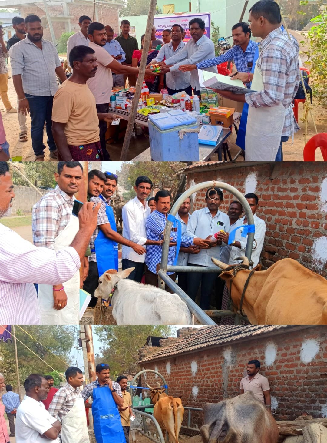 06208b33-d0c7-40d2-8c62-1790e35a7e5e