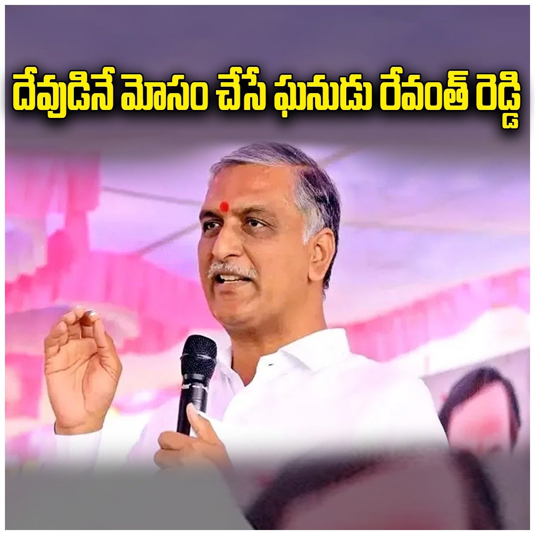 WhatsApp Image 2026-01-04 at 2.01.03 PM