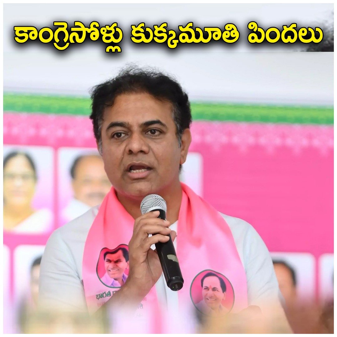 WhatsApp Image 2026-01-04 at 2.06.06 PM