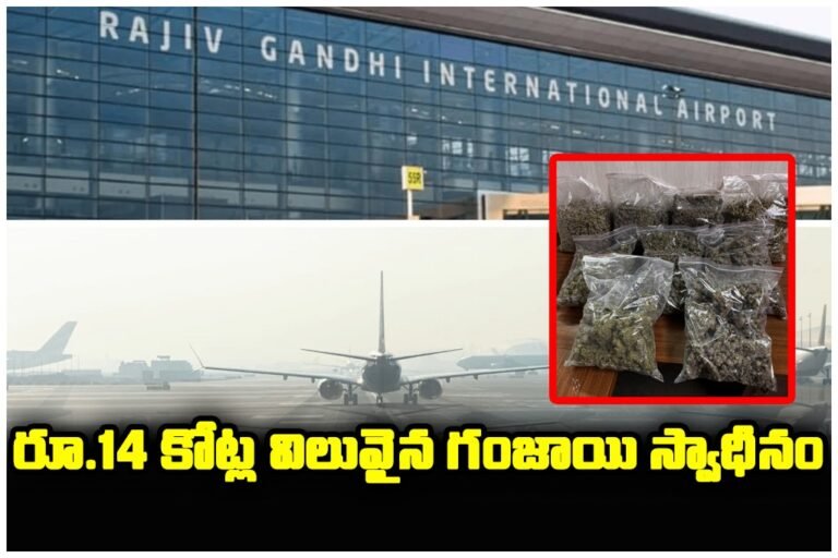 WhatsApp Image 2026-01-09 at 11.33.05 AM