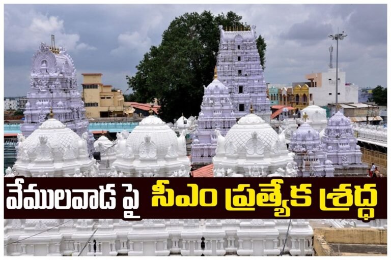 WhatsApp Image 2026-01-16 at 18.02.20_7d0ac2cd