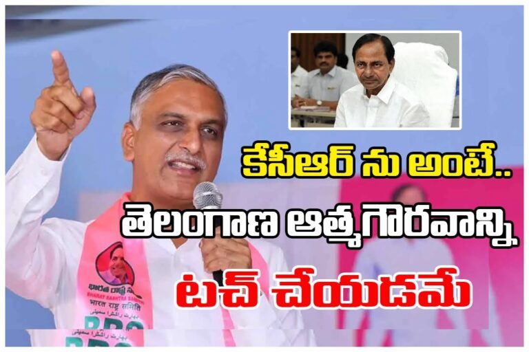 WhatsApp Image 2026-01-29 at 6.23.28 PM