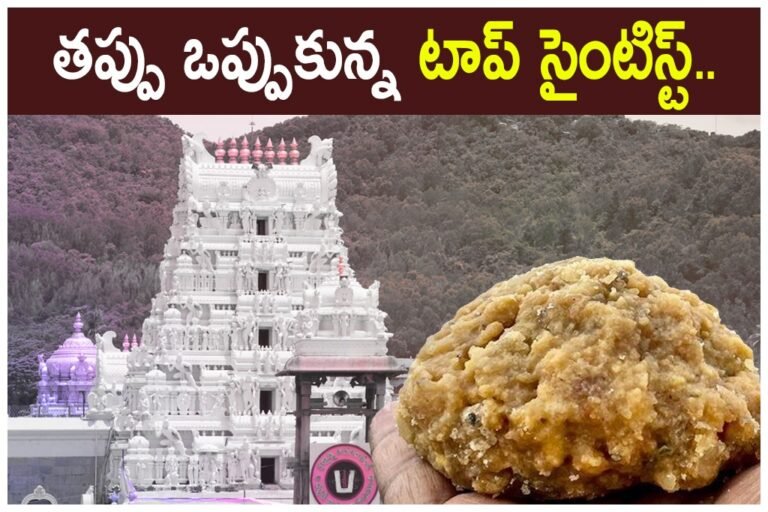 WhatsApp Image 2026-02-05 at 14.23.09