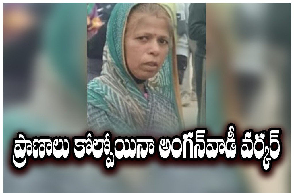 WhatsApp Image 2026-02-07 at 7.25.32 PM