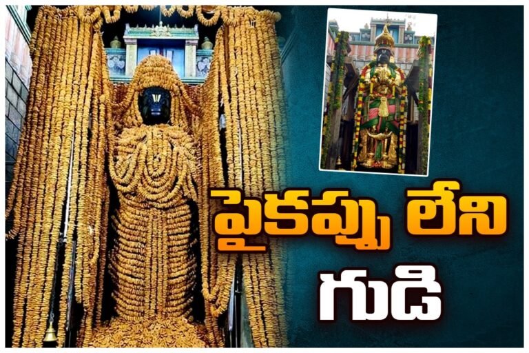 WhatsApp Image 2026-02-09 at 11.54.37 AM