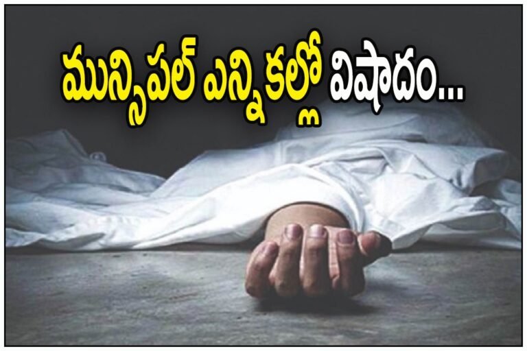 WhatsApp Image 2026-02-10 at 1.58.33 PM