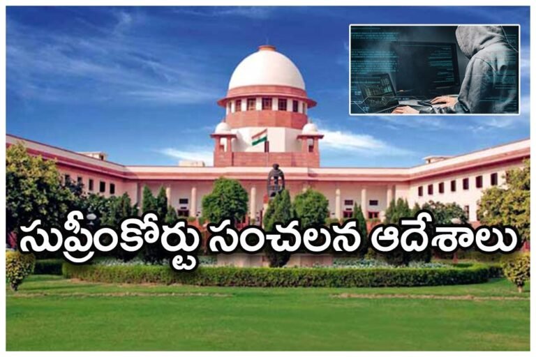 WhatsApp Image 2026-02-10 at 12.23.55 PM