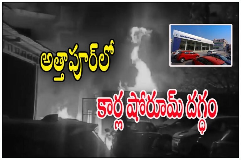 WhatsApp Image 2026-02-10 at 3.41.51 PM