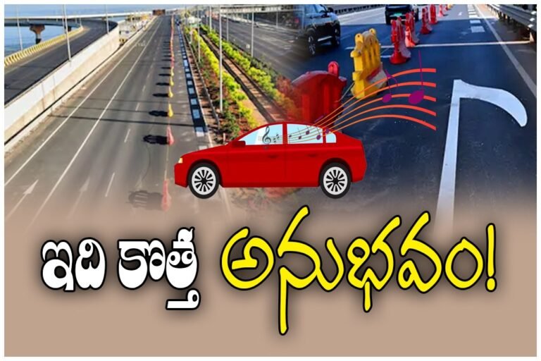 WhatsApp Image 2026-02-11 at 20.08.06