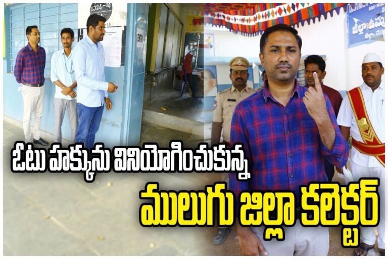 WhatsApp Image 2026-02-11 at 4.37.10 PM