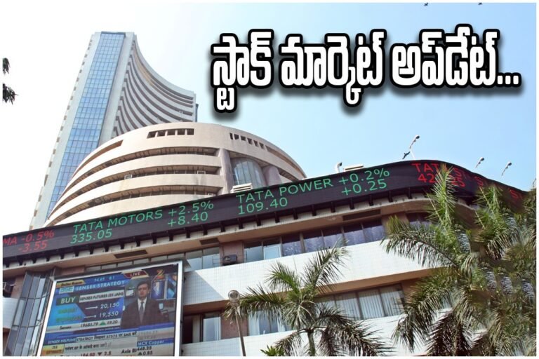 WhatsApp Image 2026-02-20 at 17.51.18