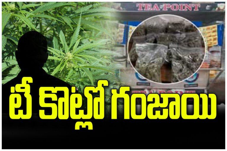 tea shop lo గంజాయి 02