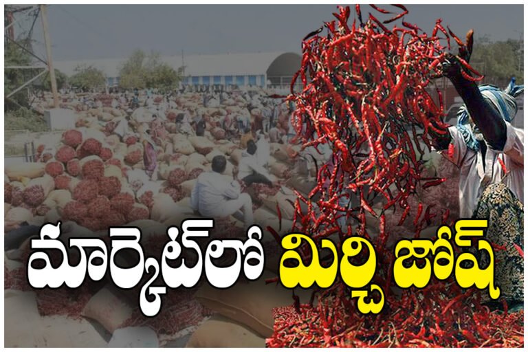 Chilli prices rise in Telangana as desi chilli touches Rs.50,000 per quintal at Warangal market