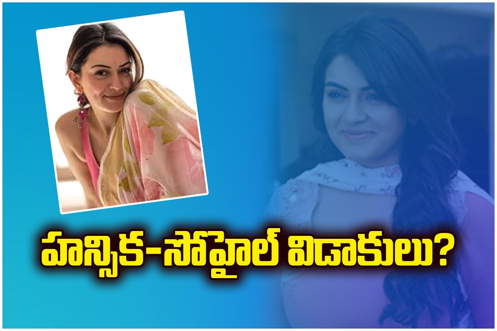 Actress Hansika Motwani and Sohail Kathuria officially divorce after four-year relationship, Hansika focuses on films.