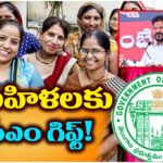 Telangana govt offers 30 free medical tests for DWCRA women from Mar 8.