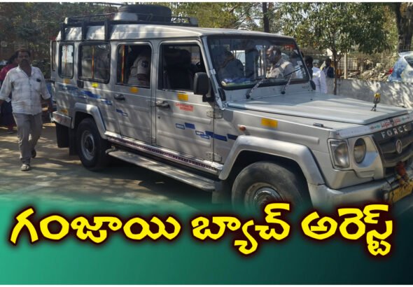 Five youths arrested in Station Ghanpur for ganja trade; 50 g seized, sent to court.