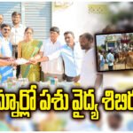 Free veterinary camp in Kannur treats 108 cattle, promotes sex-sorted semen and artificial insemination for farmers