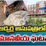 Dog attacks corpse at Jadcherla Hospital; 4 staff suspended, govt takes strict action.