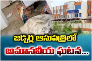 Dog attacks corpse at Jadcherla Hospital; 4 staff suspended, govt takes strict action.