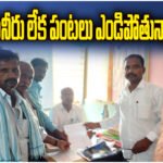 Farmers in Kamalapur seek irrigation water till April 15, 2026 as crops dry due to shortage in Kakatiya canal.