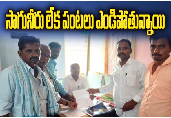 Farmers in Kamalapur seek irrigation water till April 15, 2026 as crops dry due to shortage in Kakatiya canal.