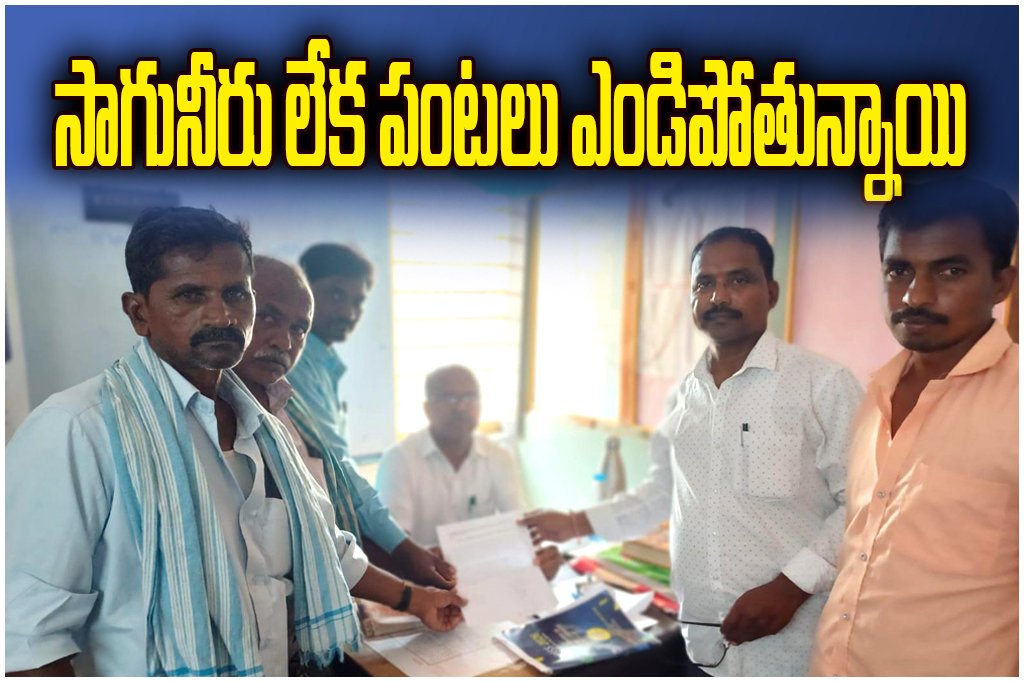 Farmers in Kamalapur seek irrigation water till April 15, 2026 as crops dry due to shortage in Kakatiya canal.