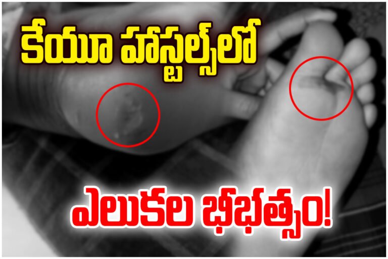 Rat attacks in Kakatiya University hostels scare students as poor sanitation raises safety concerns on campus.