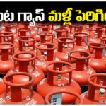 LPG cylinder price hike India