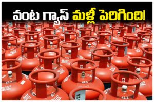 LPG cylinder price hike India