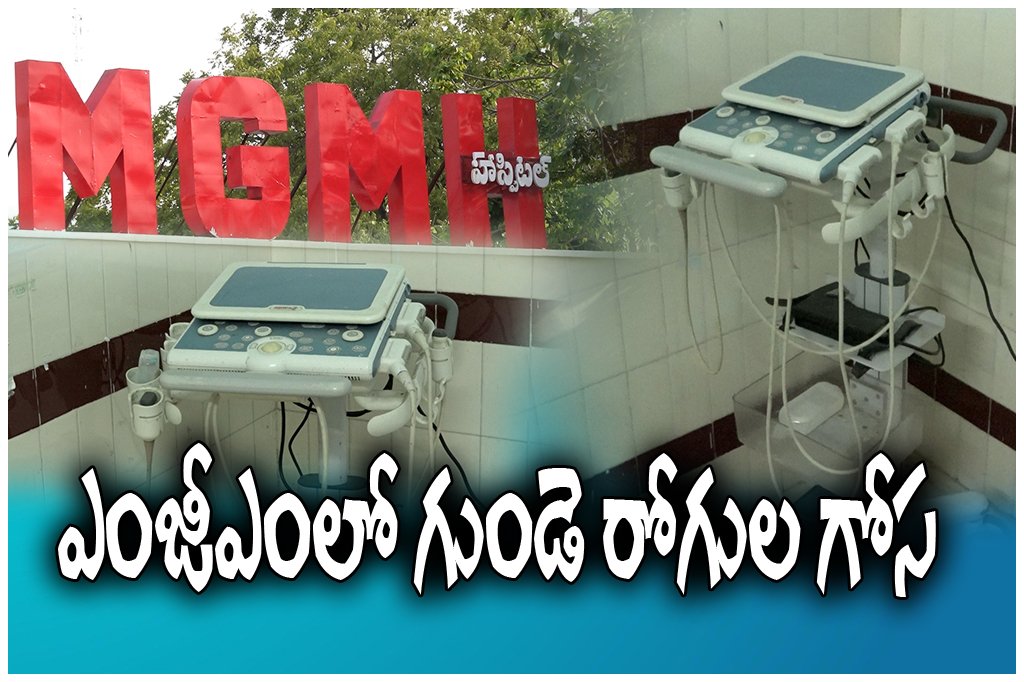 MGM WARANGAL 2D ECHO SERVICES