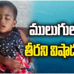 Mulugu auto accident leaves 3-year-old girl blind, tragic incident shocks locals and raises safety concerns.