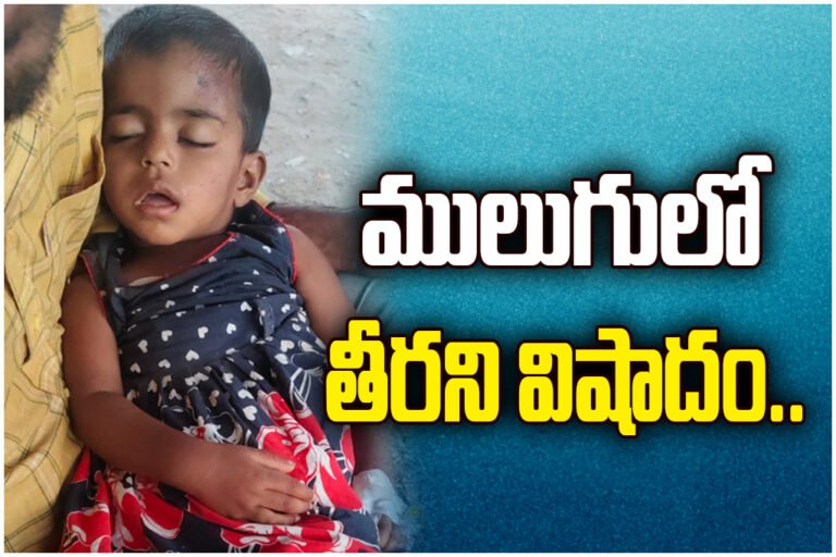 Mulugu auto accident leaves 3-year-old girl blind, tragic incident shocks locals and raises safety concerns.