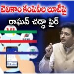 AAP MP Raghav Chadha raised concerns in Parliament over telecom companies 28-day recharge plans forcing users to recharge 13 times a year.