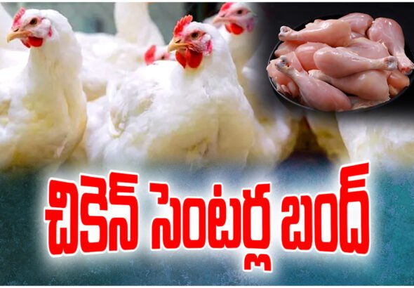 Chicken shops shut across Telangana from April 1 as retailers protest low margins, impacting supply and prices.