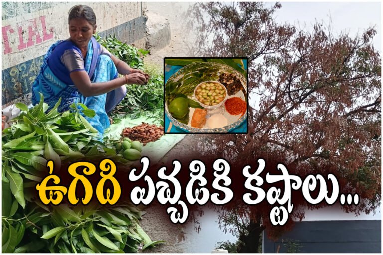 Mango Neem Shortage Telangana