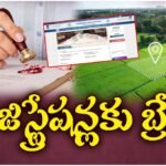 Land and property registrations halted in Telangana due to server issues, causing delays in slot booking and verification processes.