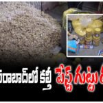 Adulterated ginger garlic paste hyderabad