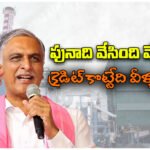 Harish Rao Siddipet oil palm plant